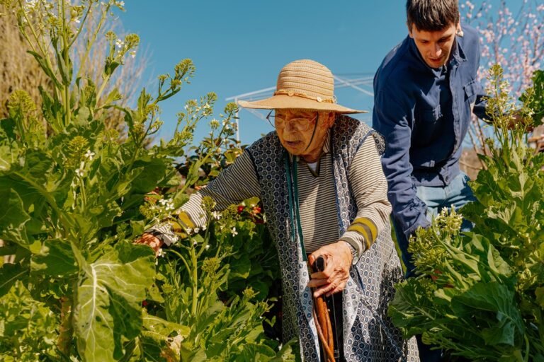 Expectativa de vida em queda: estudo aponta dificuldades para viver até 100 anos