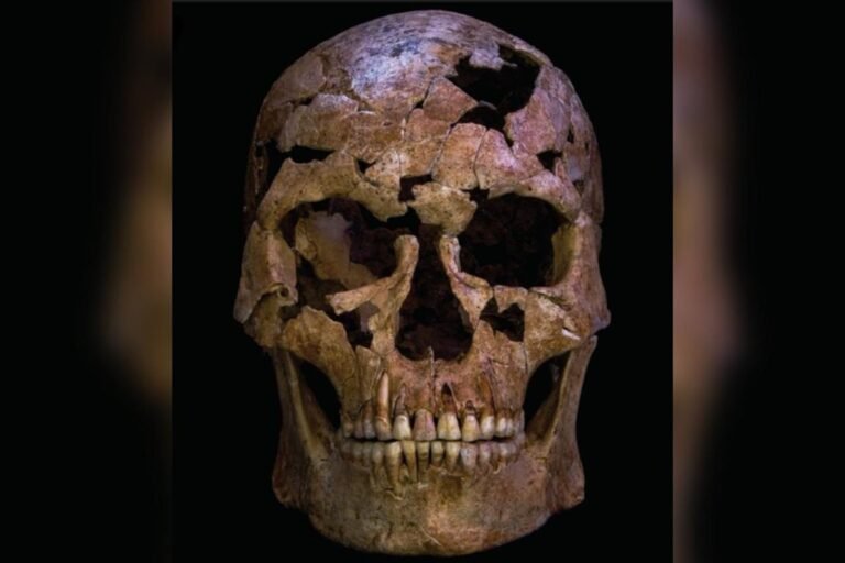 Cientistas revelam assassinato de homem de 12 mil anos