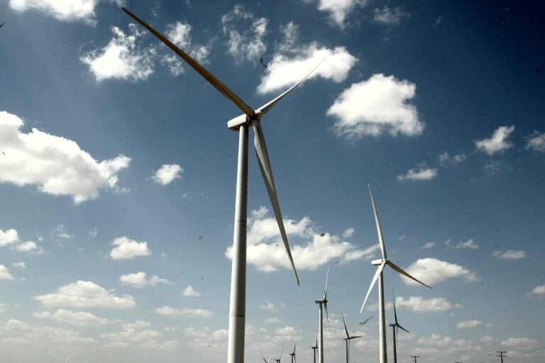 Energia eólica: como investimento pode motivar a preservação ambiental