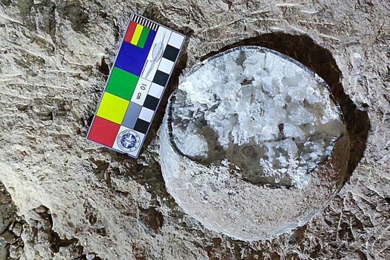 Descoberta de ovos de dinossauro com cristais na China