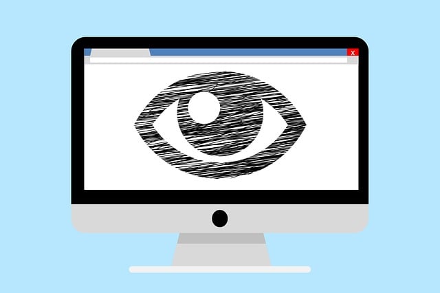 tumisu-surveillance-3351758_640
