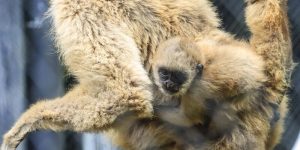 José Fernando Ogura/SECOM