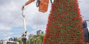 Isabella Mayer/SECOM