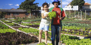 José Fernando Ogura/SMCS (arquivo