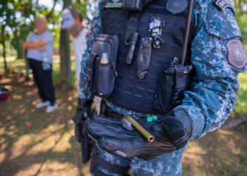 Isabella Mayer/SECOM