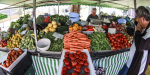 Emprego novo: Onde encontrar as unidades do Sine Móvel