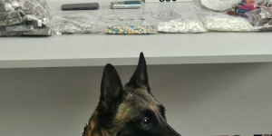 Guarda Municipal faz apreensão de drogas no Guaíra