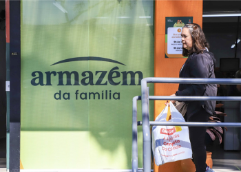 Atendimentos gratuitos de cães e gatos em Curitiba superam 14 mil