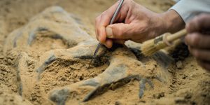 EvgeniyShkolenko/Getty Images