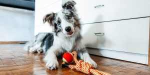 Olga Pankova/Getty Images