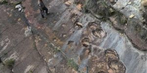 AP Photo/Juan Karita