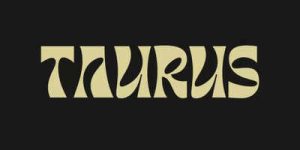 Touro hoje 21 de janeiro de 2026: novas fontes de renda podem surgir