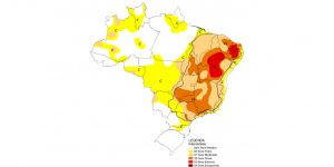Chuvas no norte do Paraná fazem seca recuar em dezembro de 2025