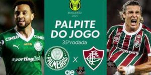 Palmeiras e Fluminense: detalhes do jogo deste sábado