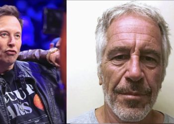 Kimbal Musk se pronuncia sobre aparições nos arquivos Epstein