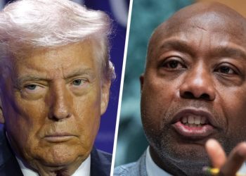 Hakeem Jeffries critica Donald Trump por vídeo racista