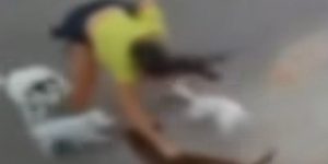 Mulher agredida após ataque de pit bull a seus cães no Ceará