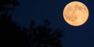 1966_Blue_Moon-1280