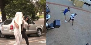 Reprodução/ GMC online