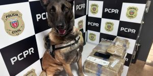 Divulgação/ DENARC