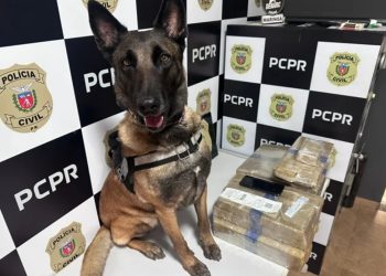 Divulgação/ DENARC