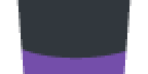 1f3a9