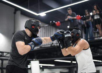 crédito: divulgação