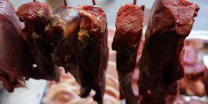 Exportações de carne bovina do Brasil atingem novo recorde em setembro