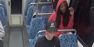 Elon Musk has gone up on a trendy Brooklyn building. reddit/Bushwick