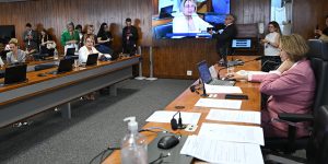 2019, senadora Jussara Lima (PSD-PI) - em pronunciamento.