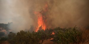 2026-08-02t122542z-1079465398-rc2cqmaxn03u-rtrmadp-3-europe-weather-greece-wildfires