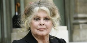 Qual a fortuna e o patrimônio de Brigitte Bardot? Ícone do cinema francês deixa casas e milhões para único filho