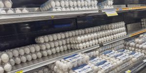 David Croxford/Civil Beat/2023