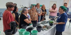 Sanepar promove oficina sobre plantas medicinais e alimentícias não convencionais