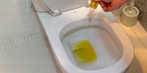 Sanepar orienta sobre ligação de esgoto com vistorias técnicas em Irati