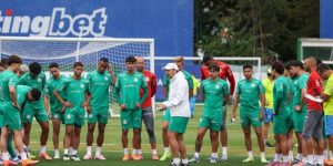 Fabio Menotti/Palmeiras