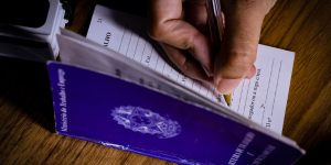 Luh Fiuza/Metrópoles @luhfiuzafotografia