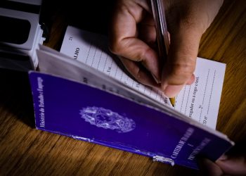 Luh Fiuza/Metrópoles @luhfiuzafotografia