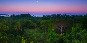Panama landscape with rainforest, moon, and colourful sky at dawn at Punta Patino nature reserve, Pacific coast, Darien province, Republic of Panama
