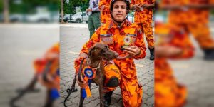 Entorse abdominal causa morte rápida em cadela dos bombeiros no Maranhão