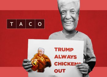 Taco: o termo que define o ano de 2025