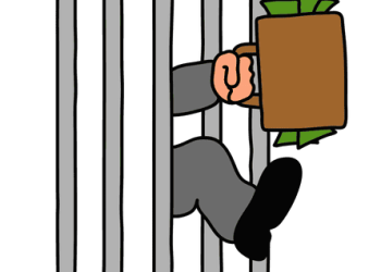 Pardons and consequences: The rise of white-collar crime in 2025