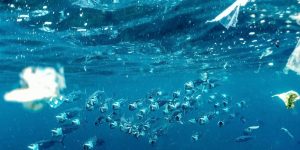 Naja Bertolt Jensen/Unsplash