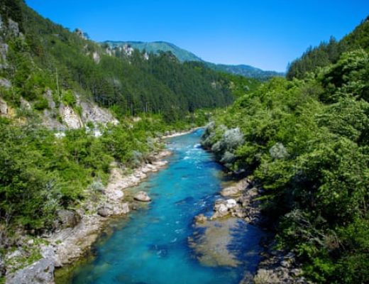 RooM the Agency/Alamy