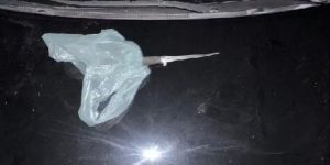 Divulgação/Polícia Civil