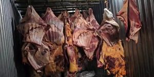 Polícia Civil RJ/Divulgação