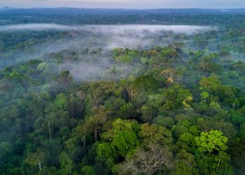 Ignacio Palacios/Getty Images
