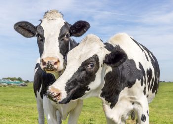 Clara Bastian/Getty Images