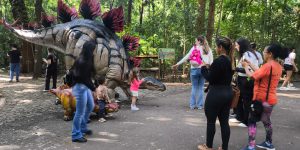Foto: A atração segue aberta das 8h às 17h, com exceção de segunda-feira, 15, e