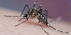 Joao Paulo Burini/Getty Images